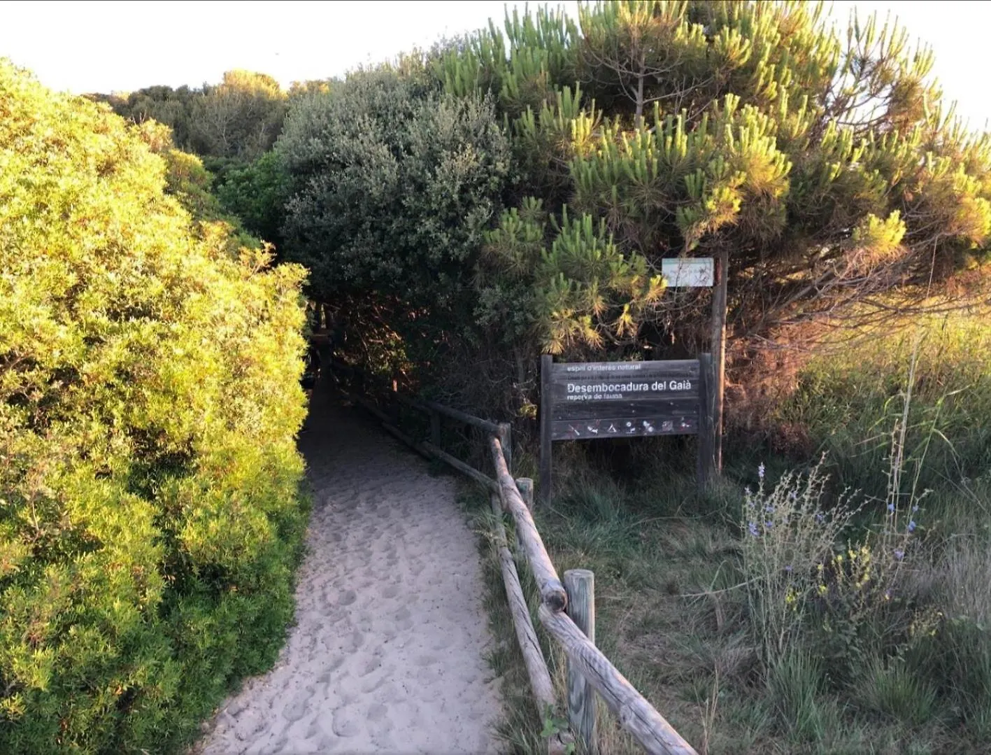 Appartement Apartamentos Cala Azul La Mora Tarragone